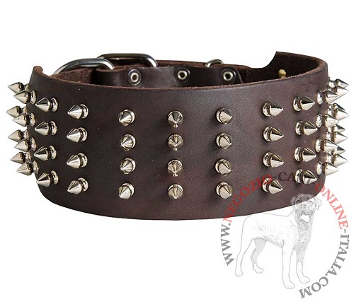 Collare  in vera pelle largo 7 cm Gladiator per Rottweiler